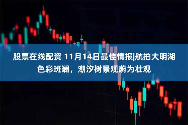 股票在线配资 11月14日最佳情报|航拍大明湖色彩斑斓,潮汐树景观蔚为壮观